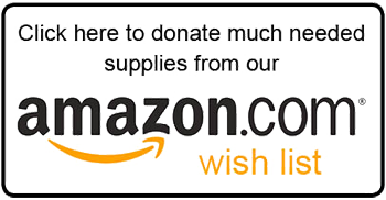 AmazonWishListDonate